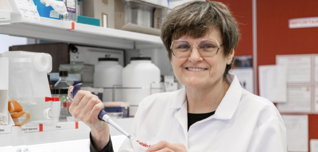 Pioneer Of MRNA Research: UCC Honorary Doctorate For Dr. Katalin Karikó